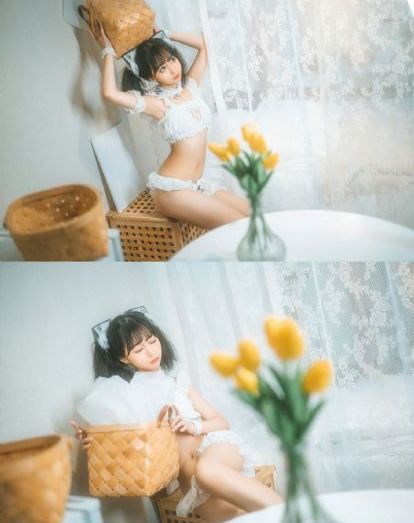 成人动漫免费在线观看