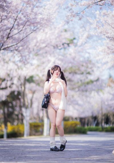 私人手段